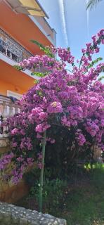 Apartman Milka - Zadar - 6