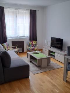 Ivan Apartman Zlatibor - Zlatibor - 9