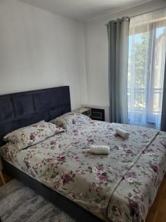 Ivan Apartman Zlatibor - Zlatibor - 7