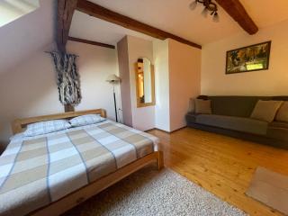 Viesu nams Vijas - 4