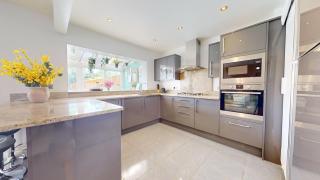 Buttercup Nest of Wimbledon - 6