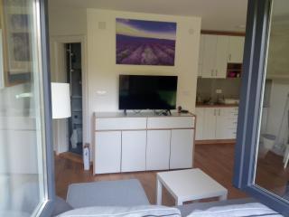 Apartman Lavanda - Vrnjačka Banja - 2
