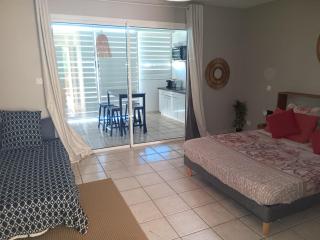 Le Tamarin bleu - plages - parking - clim - wifi - 3