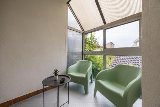 Le Jungle - hyper centre - Mont-de-Marsan - 5