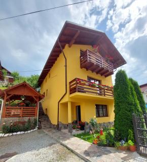 Casa Daria - Statiunea Borsa - 0