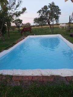 Villa Lujan - Mercedes - 6