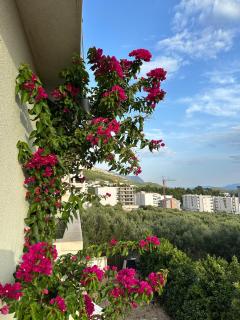 Apartmani Katić - Makarska - 7