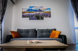 Apartament Panorama Baile Felix - Baile Felix - 1