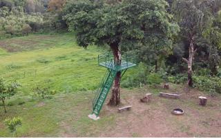 The Greentara Farmstay - Somvārpet - 4