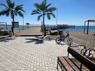 Palm Beach - Chok-Tal - 3