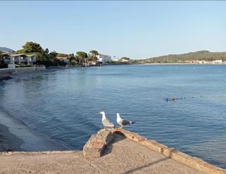 Bas de Villa "Au sud" à 250m de la mer - La Seyne-sur-Mer - 6