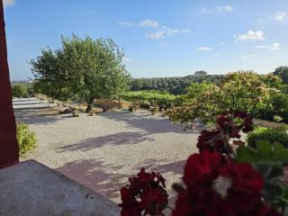 Tenuta degli Ulivi - Dimora Contadina - 0