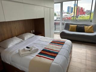 Calzolli Penthouse Casa de Huéspedes y Coliving - Ciudad de México - 7