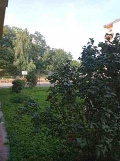 Apartament Centrum - Ostrowiec Świętokrzyski - 5