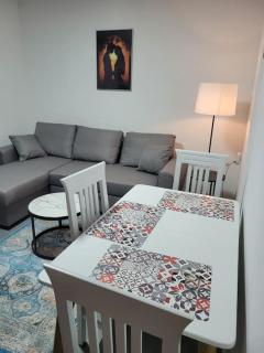 Rudi Apartment 1 in Tirana - Tirana - 8
