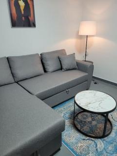 Rudi Apartment 1 in Tirana - Tirana - 6