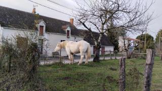 Gite 3 du Bas Coudreau - Rosnay - 8