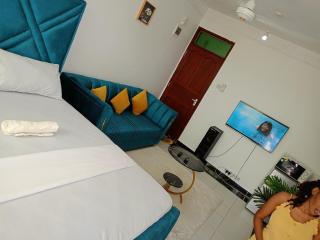 Biancaisbae properties - Mombasa - 1
