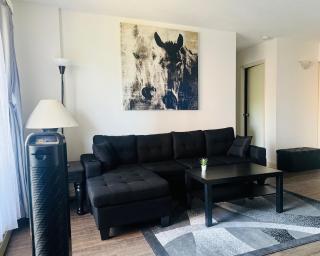 Entire Apartment Prime Downtown location Free underground Parking - 7