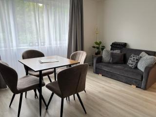 Suuremõisa Holiday Apartment with Sauna - Suuremõisa - 0