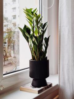 Apartament Gdynia Starowiejska - 8