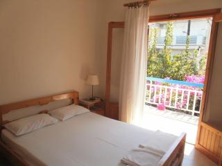 2 space- selfcatering Apartment Helen No 8 - Xiropigado - 1