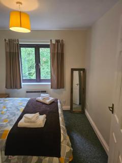 One bedroom flat in the heart of Shakespeare's Stratford-upon-Avon - Stratford-upon-Avon - 8