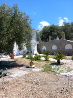 villa tra uliveti e mare - Perdifumo - 9