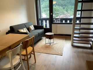 Les 2 Chamois - Duplex à Chamonix - 4