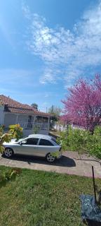 Vasiliki's guest house - Vergia - 9