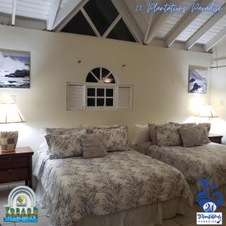21 Plantations Paradise - Lowlands - 2