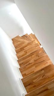 Golija Simovic home - 1