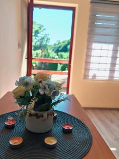 Apartman Popović - Niš - 9