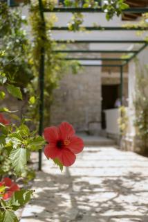 Oikia Ouranou - Khlóï - 7