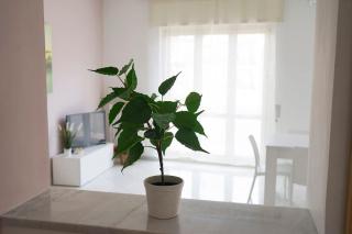 Casa Speranza - Napoli - 4