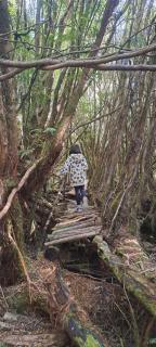 Turismo rural dalcahue - Pindapulli - 5