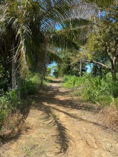 Casa Limon - Pavones - 8