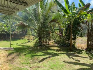 Casa Limon - Pavones - 7