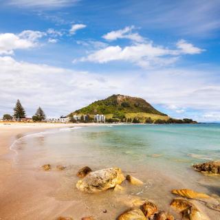 Sunny and Spacious - moments from the Beach and Downtown - Mount Maunganui - 7