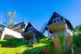 Twin Green - Hatton - 9