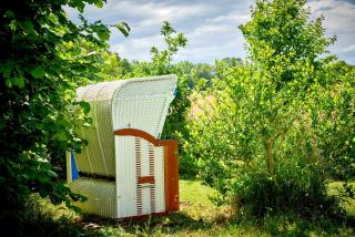 Reetdach-Villa mit Blick in die Natur - 160m² Entspannung pur - 6