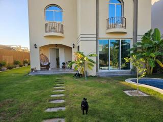 للسيدات فقط only for ladies - 0