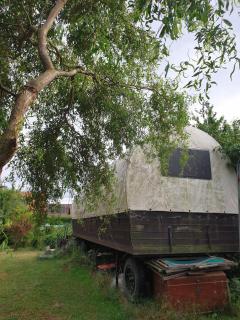 Traum im Pferdewagen für die Durchreise - 1