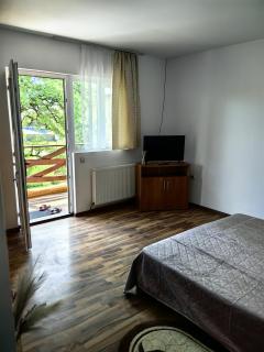 Casa Eliza - Ocna Şugatag - 5