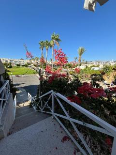 Horizon Bliss at Coral Bay - Peyia - 2