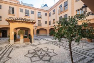 APARTAMENTO ADULTOS CENTRO NUEVA DE LA VIRGEN 2 free parking - Granada - 9