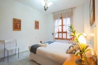 APARTAMENTO ADULTOS CENTRO N V 1 free parking - Granada - 9
