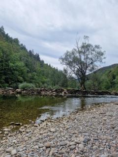 apartman Luisiana - Lukovdol - 5