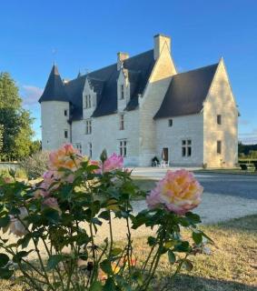 Chateau Manoir de Chandoiseau - 9