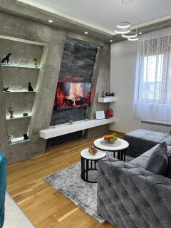 Apartman Mratinković Zlatibor - Zlatibor - 9